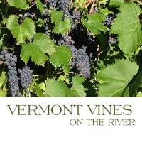 Vermont Vines logo